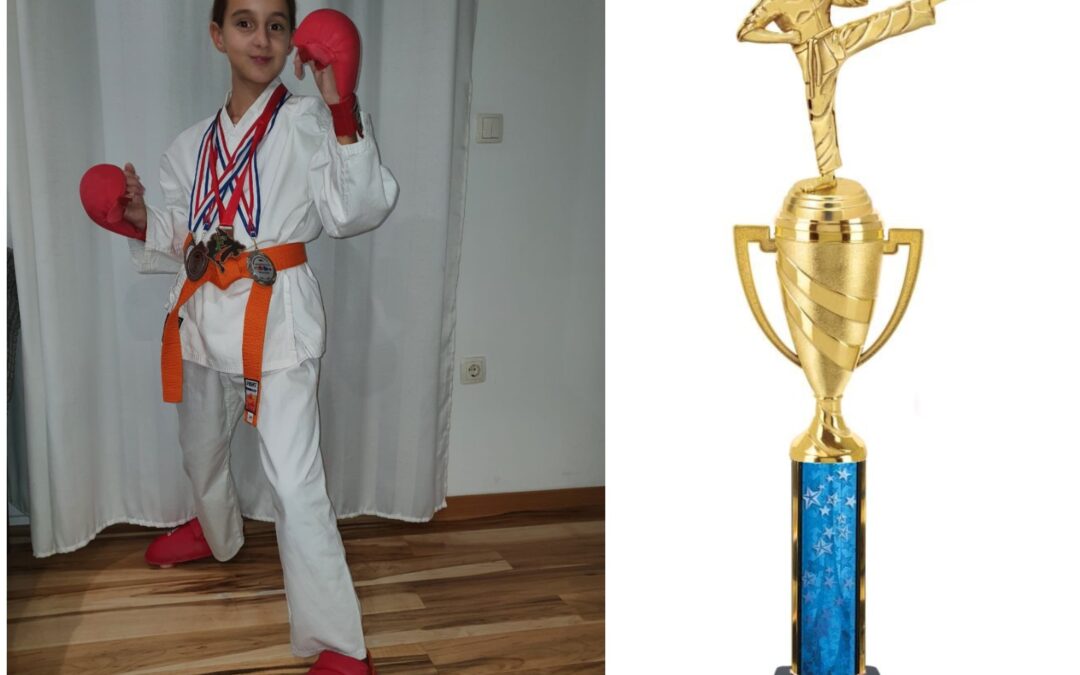 Izvanškolske aktivnosti: karate